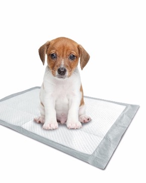 puppy-pads