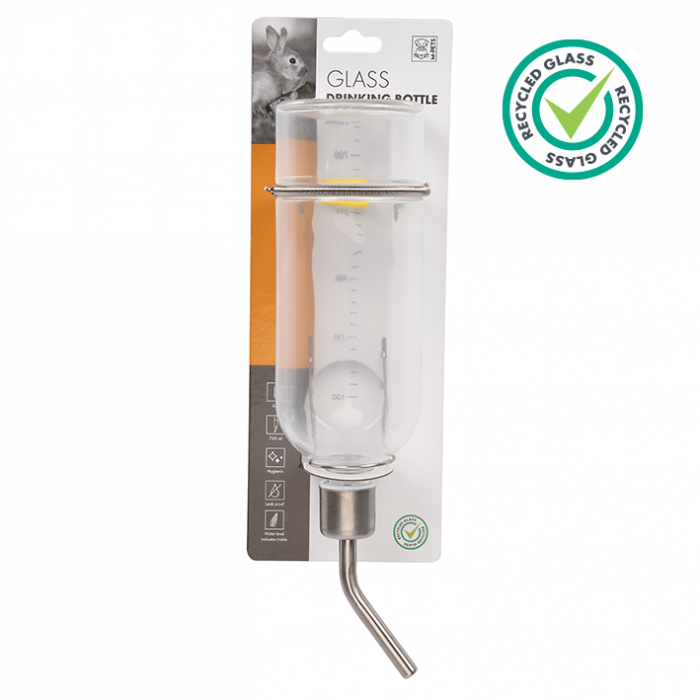 Glass Drinking Bottle