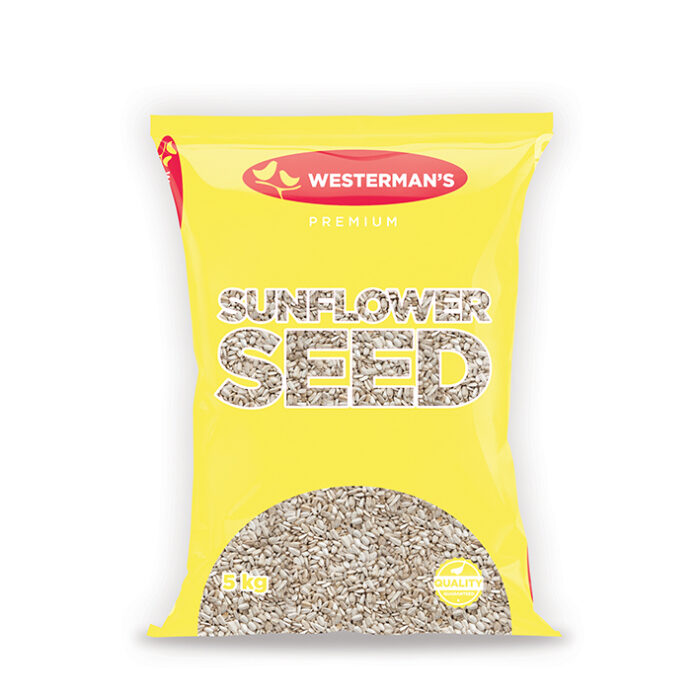 White Sunflower - Image 3