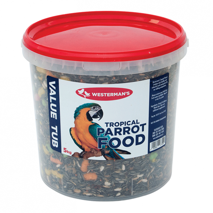 Tropical Parrot - Image 5