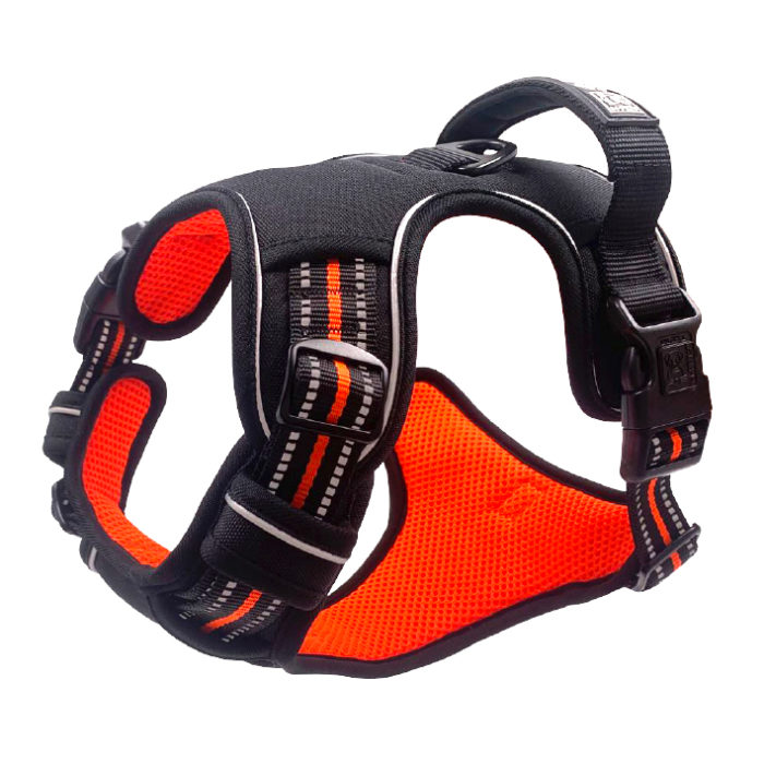 mpets_0025_hiking-harness-side