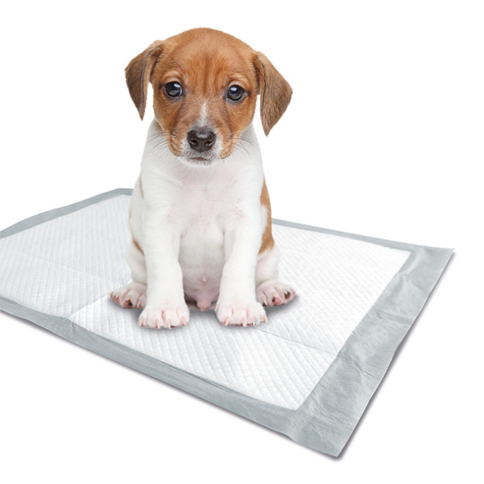 puppy training pads