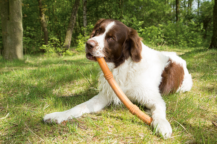 beeztees-sumo-fit-stick