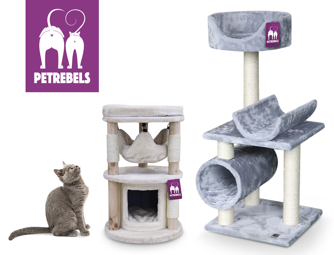 pet-rebels-feature