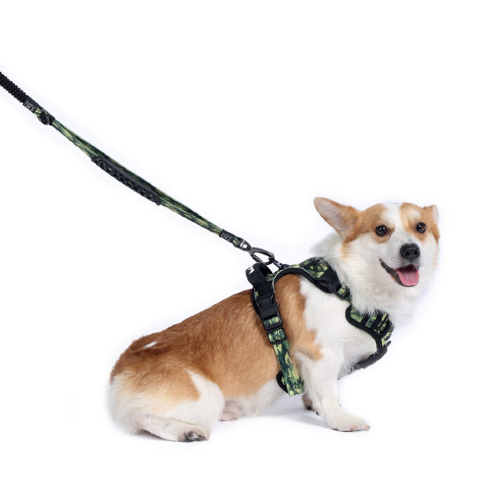 mpets-web_0148_hiking-camouflage-lifestyle