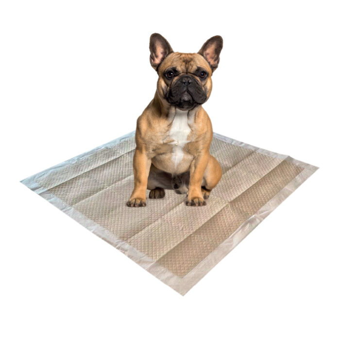 mpets-web_0163_eco-training-pads-lifestyle