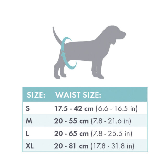 mpets-web_0171_male-diapers-size-chart