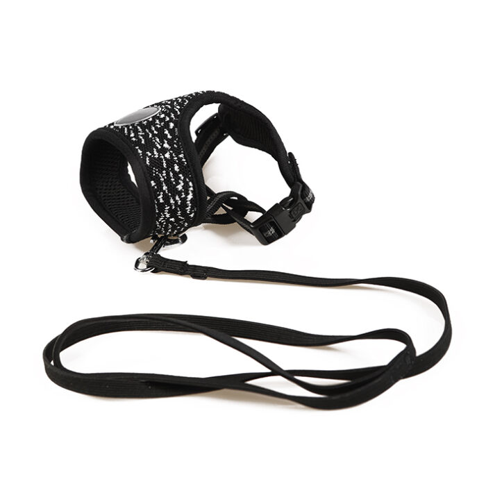 Letsgo Harness & Leash - Black - Image 2